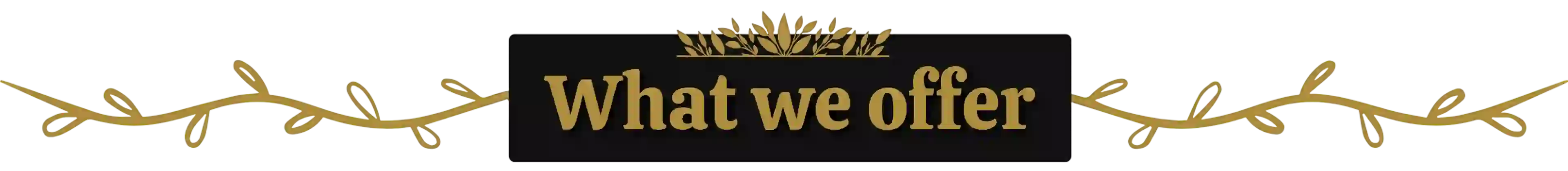 What We Offer